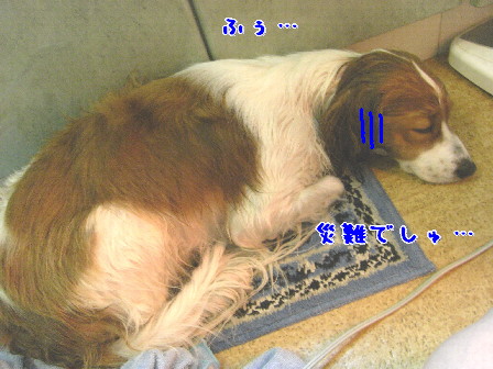 d0013149_9243072.jpg