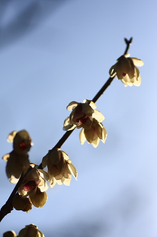 a0024250_20194194.jpg