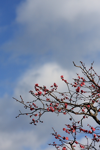a0024250_20201632.jpg