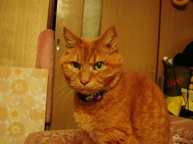f0132565_130169.jpg