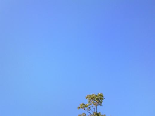 e0002472_1154911.jpg