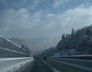 e0069481_216751.jpg