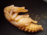 c0150582_16503344.jpg