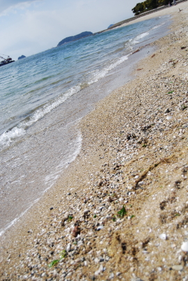 c0092787_140619.jpg