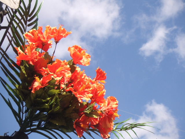 e0032488_11264075.jpg