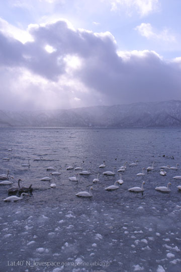 f0135205_23571384.jpg