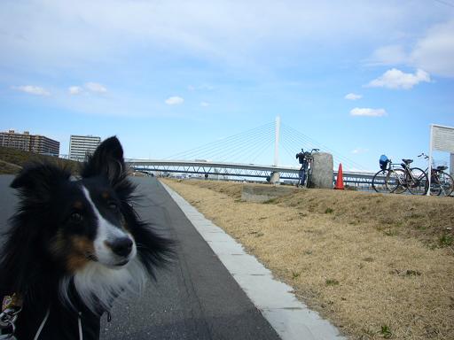 e0130008_17144025.jpg