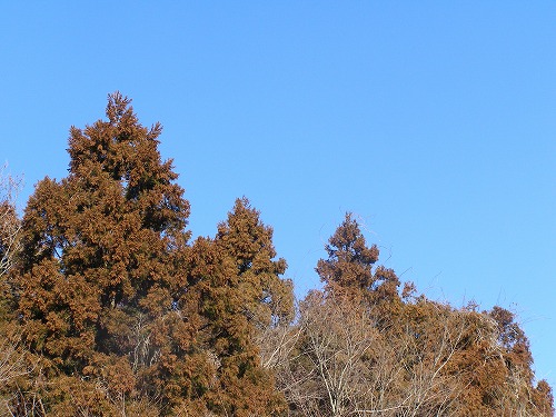 d0147812_12472913.jpg