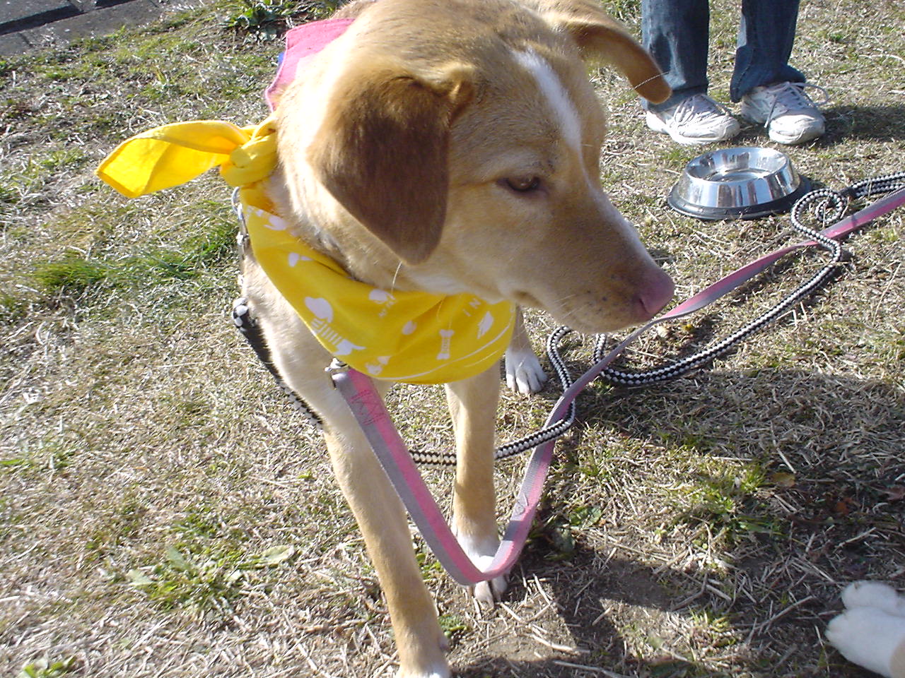 c0150520_1855411.jpg