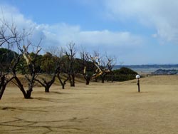 f0147025_1914744.jpg