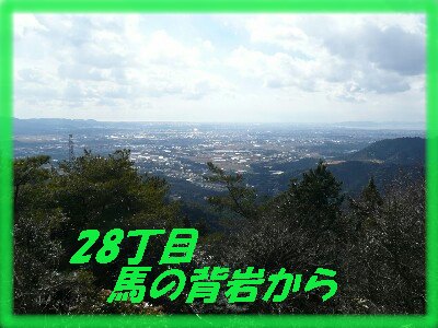 c0009528_2235756.jpg
