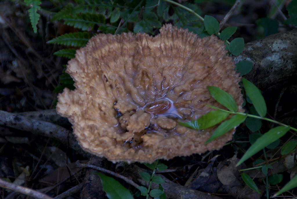 d0053930_1857169.jpg