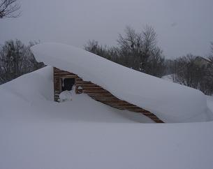 f0118332_23463364.jpg