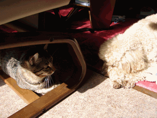 c0136736_22314169.gif