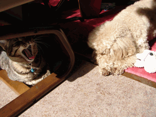 c0136736_2232571.gif