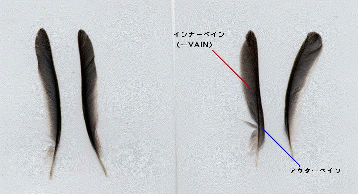 a0054043_10524363.jpg