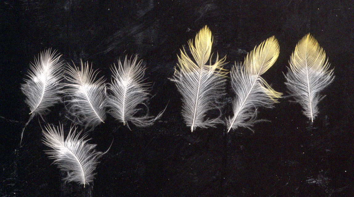 a0054043_71232.jpg
