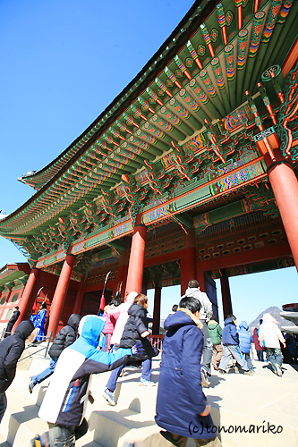 c0024345_1504771.jpg