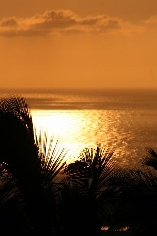 e0129046_8541934.jpg