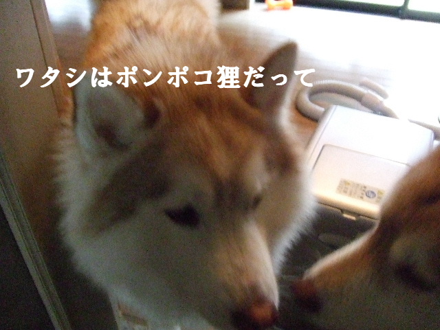 e0121548_20445445.jpg
