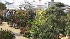 e0120156_16223167.jpg