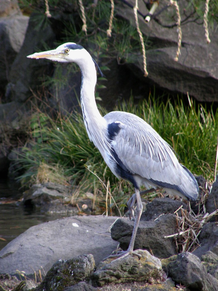 e0064158_14181.jpg