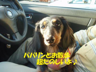 c0151866_19385649.jpg