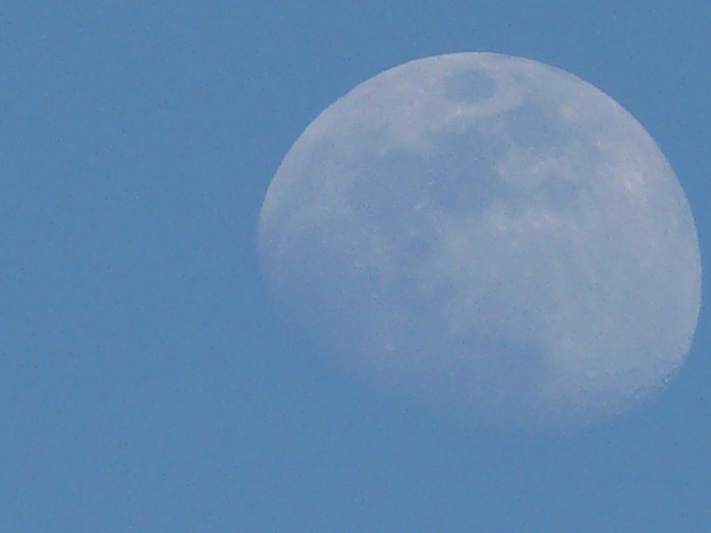 f0068368_21213340.jpg