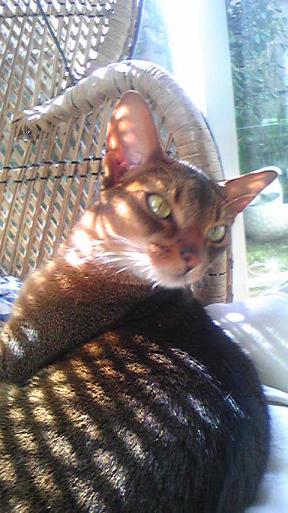 e0078269_1227585.jpg