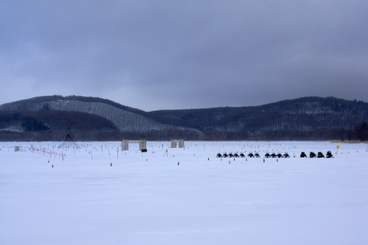 e0100772_176489.jpg