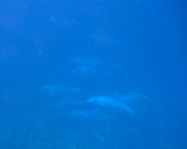 b0033573_18424173.jpg
