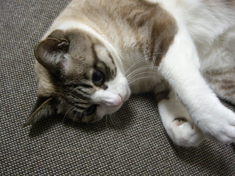 a0013479_00480.jpg