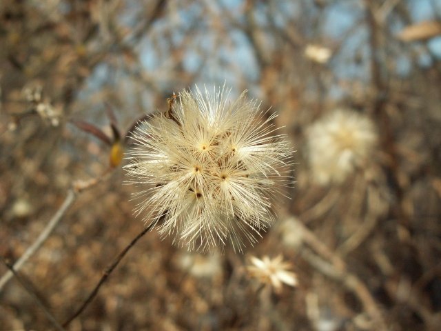 a0060882_8183297.jpg