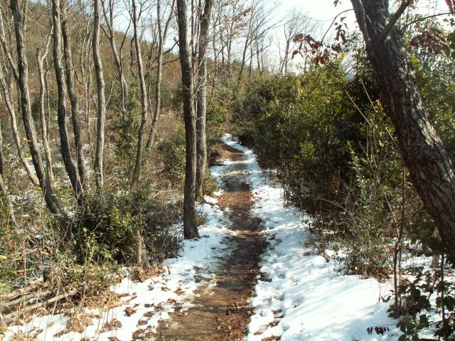 a0060882_8222529.jpg
