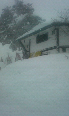 d0045588_1071643.jpg