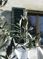 e0073593_932197.jpg