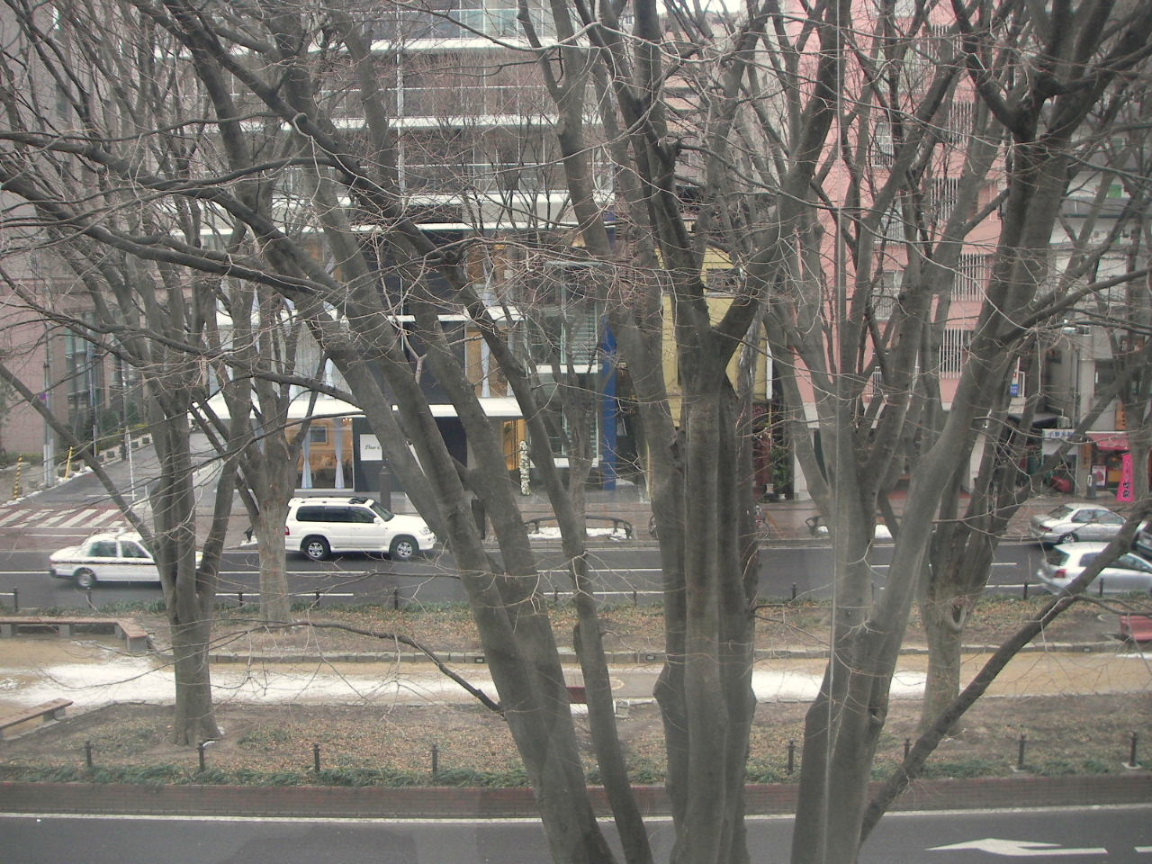 f0100593_1411789.jpg