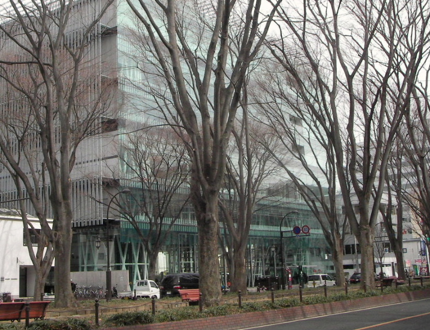 f0100593_14221548.jpg