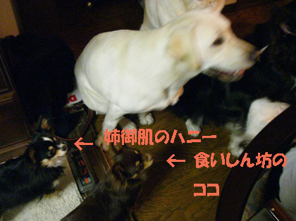 f0114893_1522967.jpg