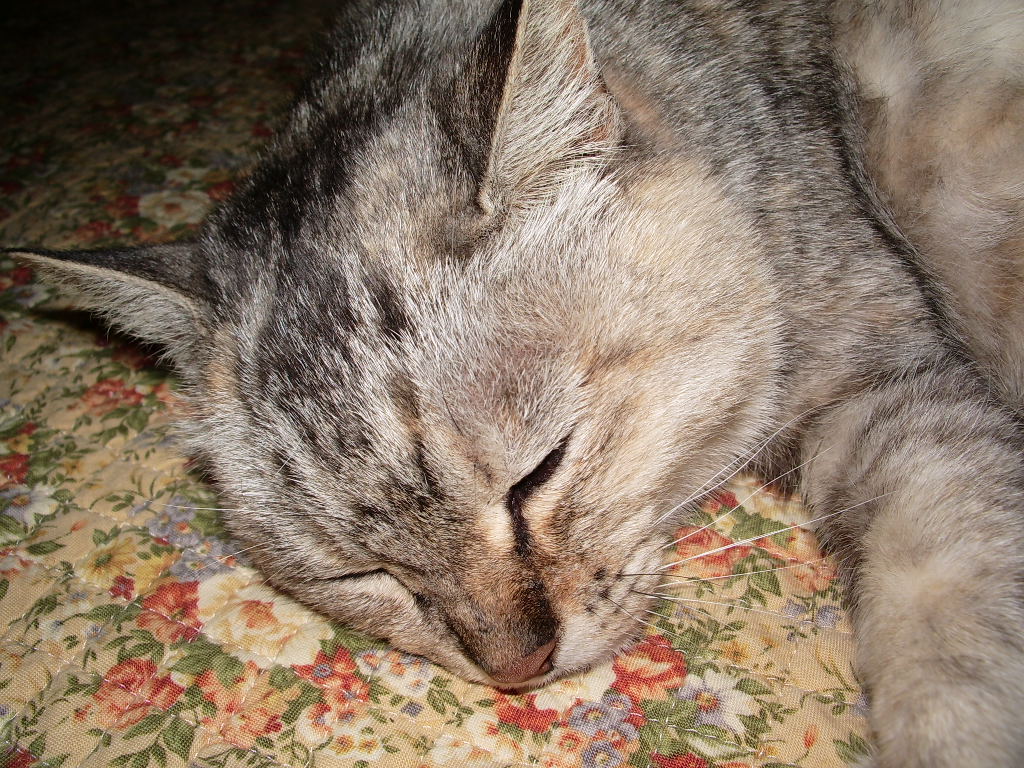 a0061594_2282246.jpg