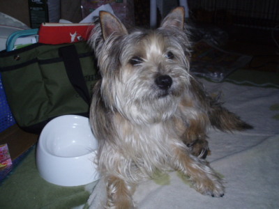 c0086895_2154381.jpg