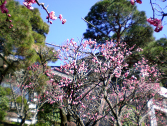 d0129295_13262522.jpg