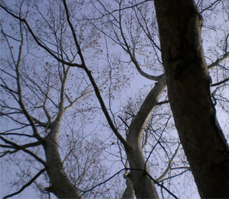 d0129295_15153720.jpg