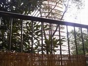 e0077498_71145100.jpg