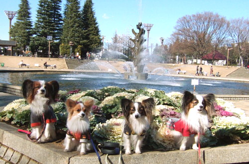 c0044199_15195775.jpg