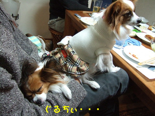 c0044199_16234370.jpg