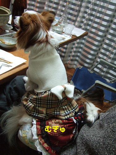 c0044199_1646316.jpg