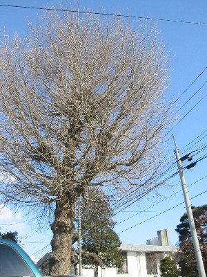 e0122199_22121369.jpg