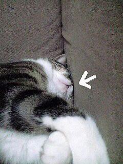c0035001_15503230.jpg