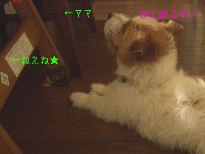 a0051402_10141683.jpg